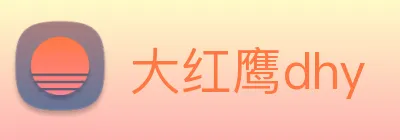 大红鹰dhy logo